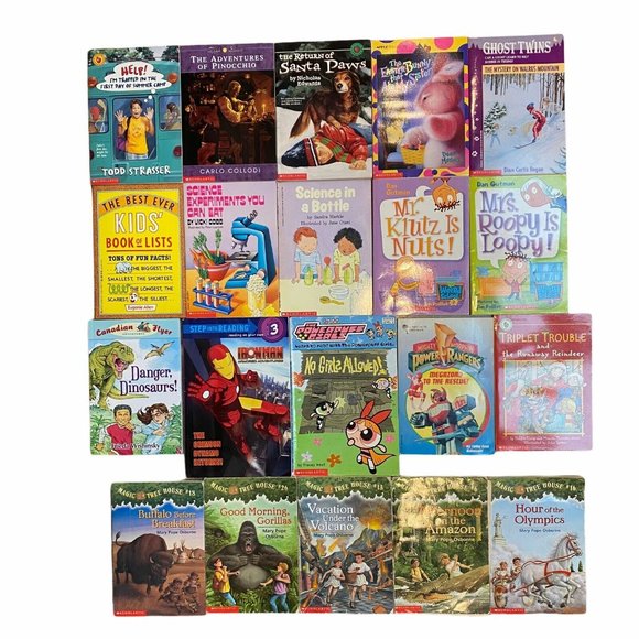 Scholastic Chapter Book Lot-20 books